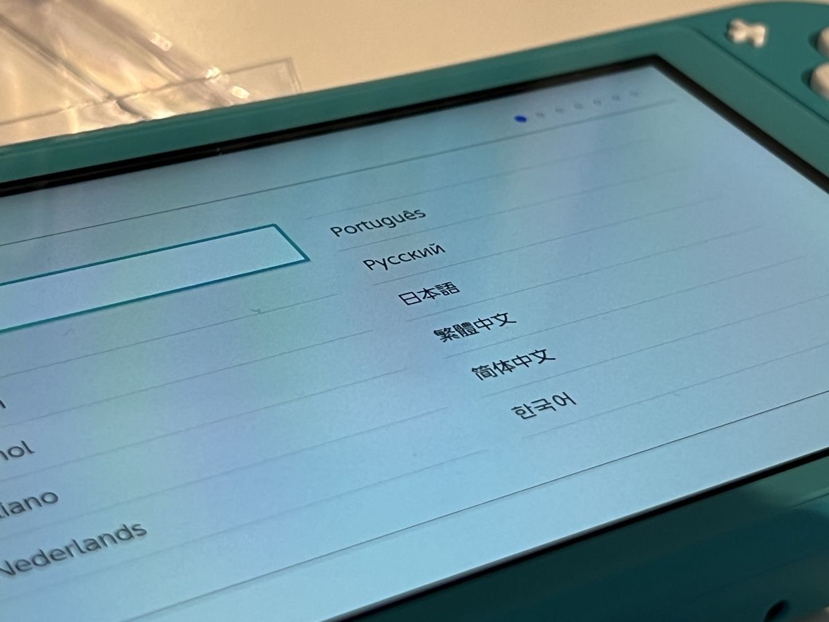 Nintendo Console: Switch Lite - Wie Neu – Usato da Zürich venduto da rg_swiss 2