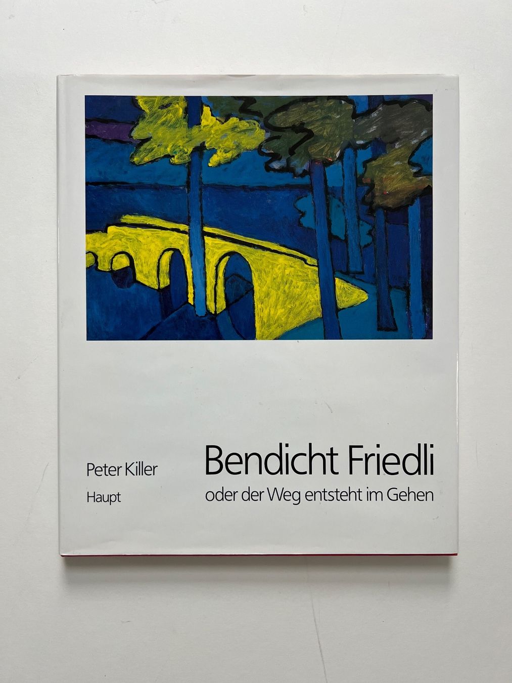 Grafica & Litografie: BUCH: Bendicht Friedli – Usato da Rain venduto da Pic-Ass 1