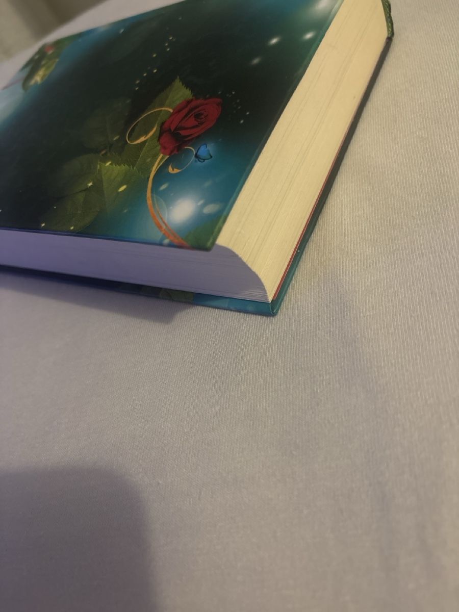 Libri: Das letzte Dornröschen von Claudia Siegmann – Usato da Uzwil venduto da soda13 5