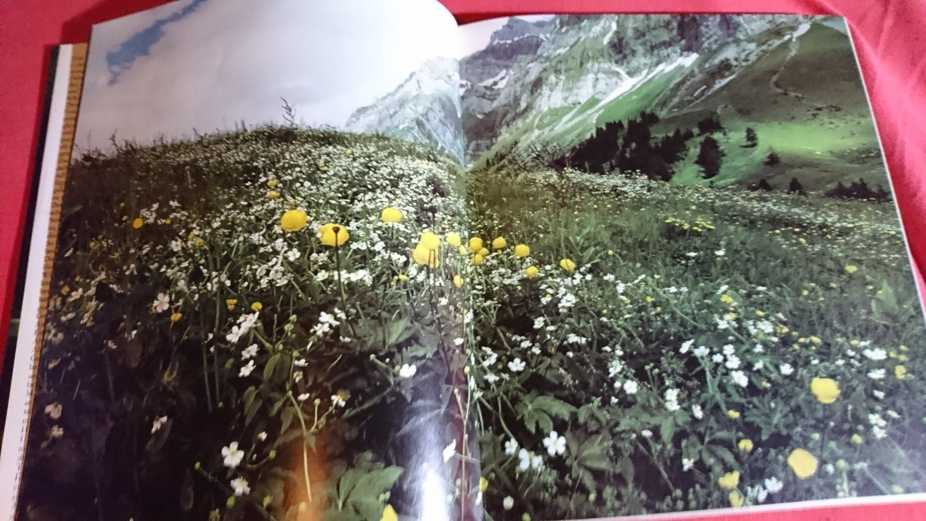 Libri: Die Natur in der wir leben – Usato da Remetschwil venduto da Privatflohmi 3