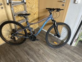 Mountainbike 17“ zum herrichten oder ausschlachten