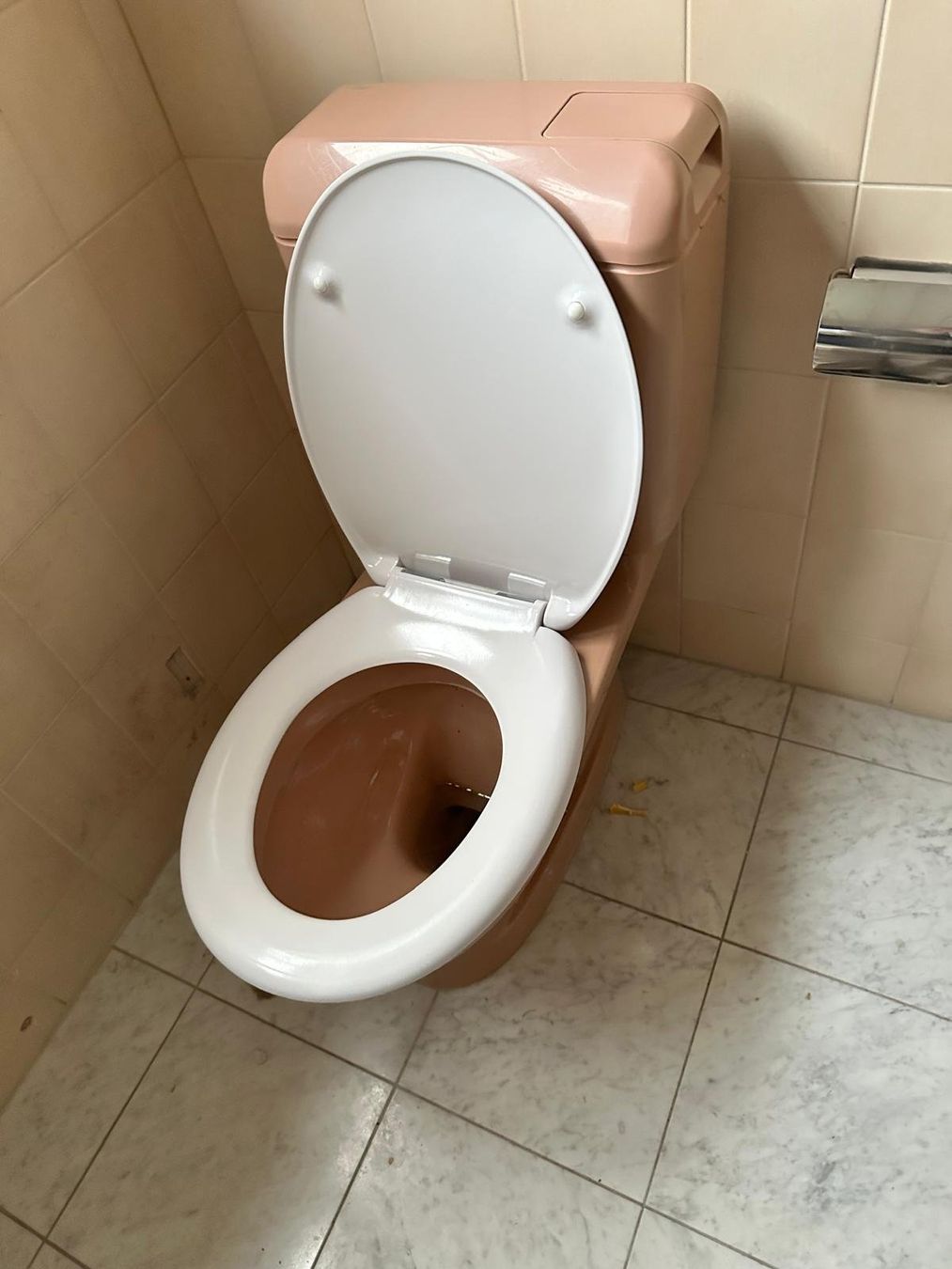 Laufen WC: Stand WC - Laufen – Usato da Spreitenbach venduto da Space_X 3