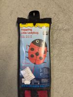 Flapping Ladybug Drachen