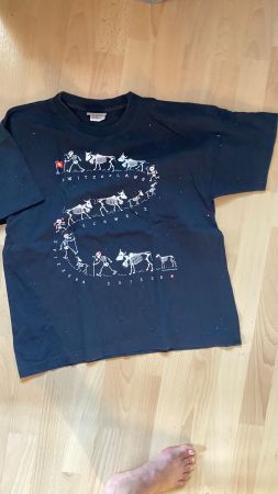 Switcher T-Shirt, Grösse S, Vintage Schweiz Sujet, Top!