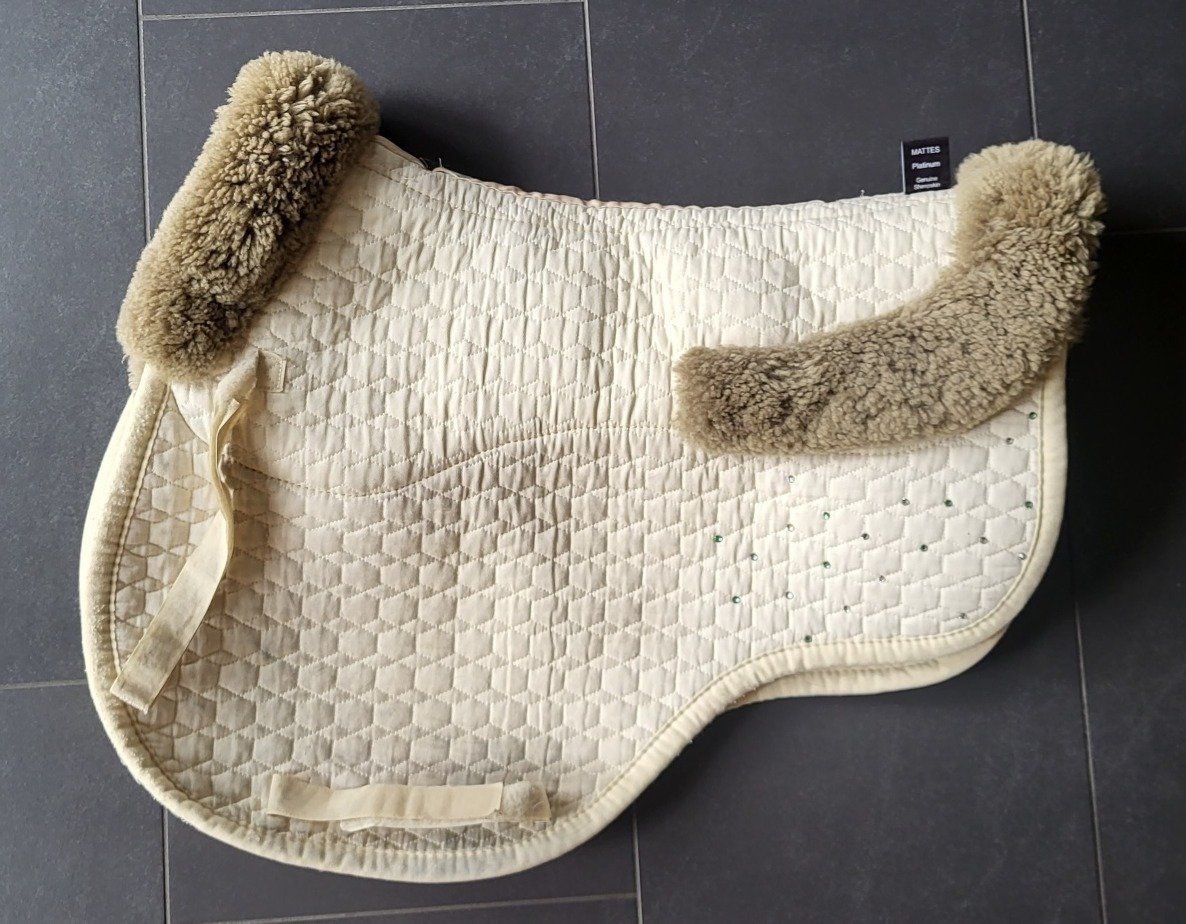 Coperte: Mattes Springschabracke mit Glitzer – Usato da Brugg AG venduto da Leona90