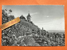 Alte Ansichtskarte Erlenbach ZH Turmgut - Rarität!