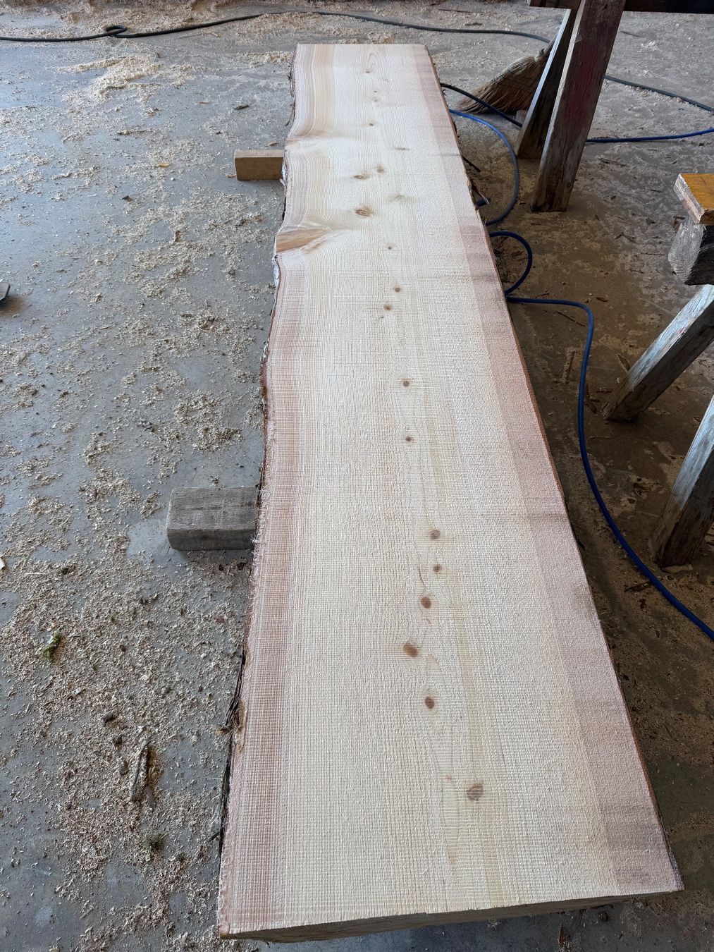 Articoli in legno: Thuja klotzbretter ganzer Stamm – Usato da Holziken venduto da Timbergrizzly 5