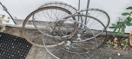 5 roues vélo 28" pour pneus collés. Dont 1 roue arrière. 