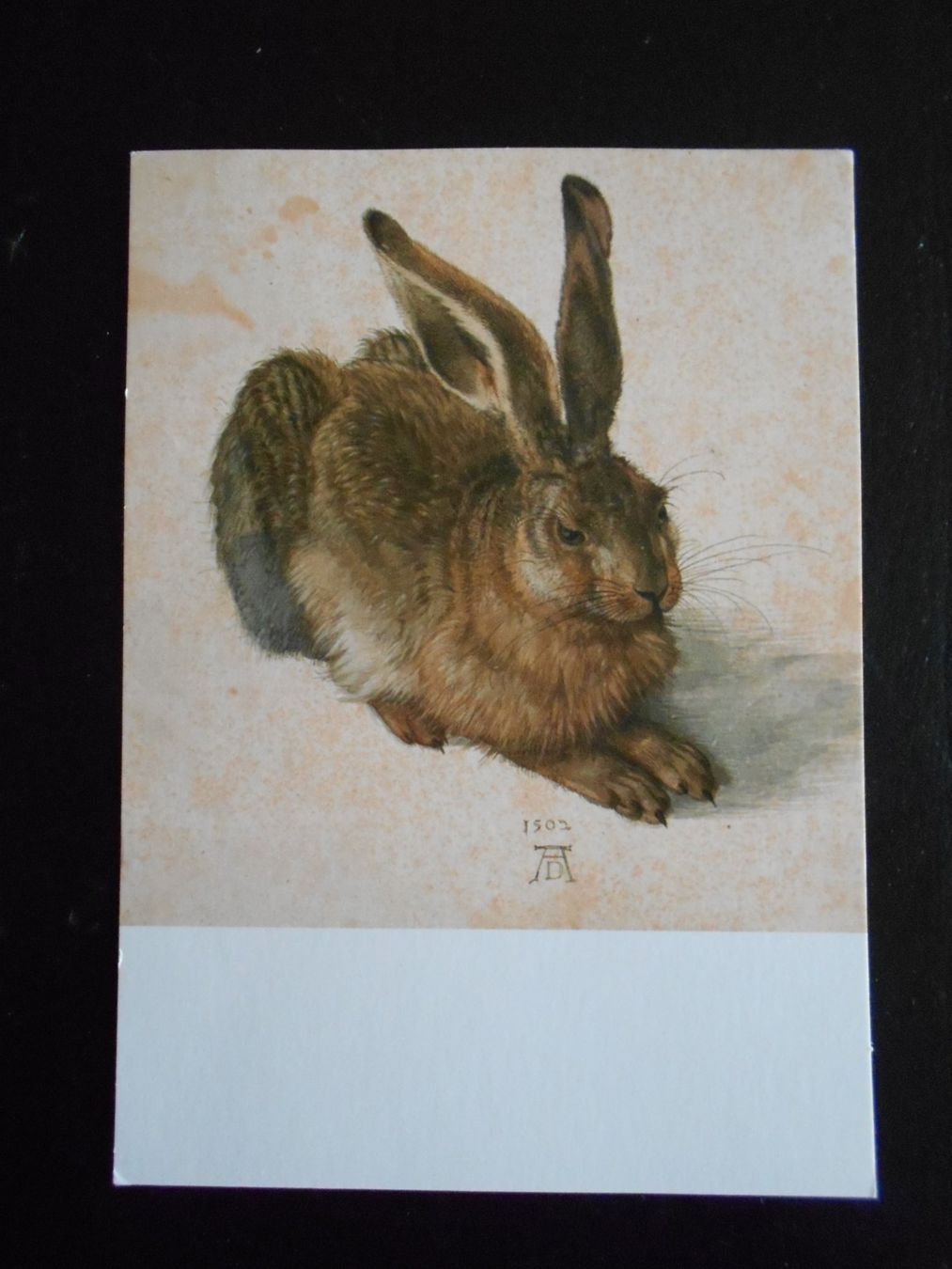 Cartoline postali: Albrecht Dürer 13 Kunstkarten 7 Motive – Nuovo (secondo la descrizione) da Hünibach venduto da vielesachen 6