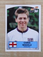 Panini Euro 1988 Einzelsticker Nr. 175