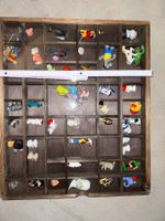 Setzkasten - Vitrine mit Fächern - Schaukasten