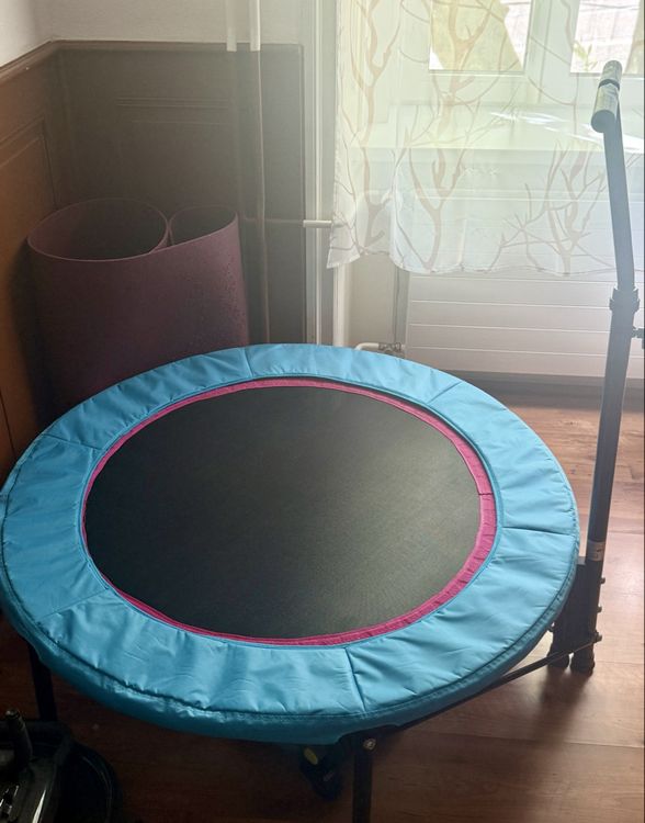 Mini Trampolin mit Haltegriff - Ideal für Indoor-Fitness! 1