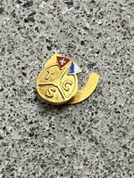 TCS Zürich Pin