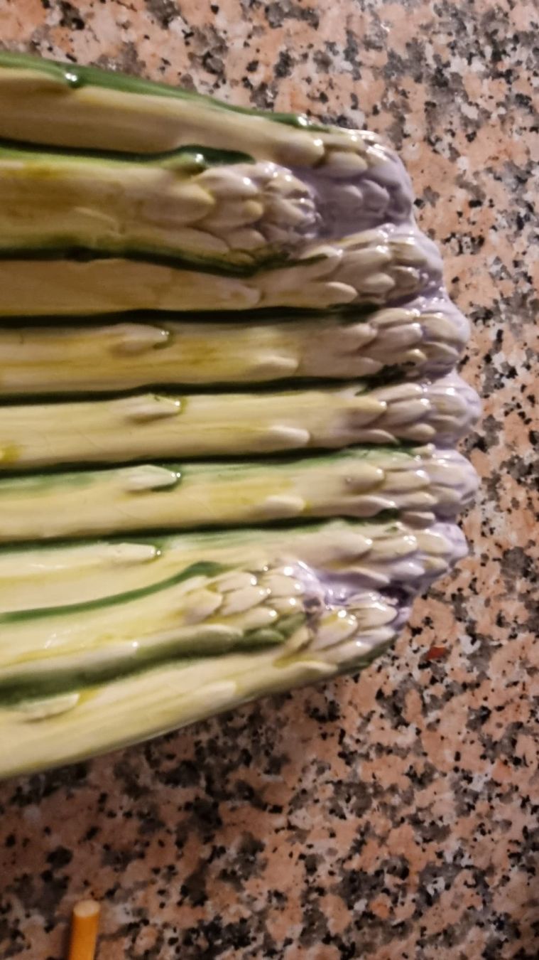 Piatti: Piatto da portata (per asparagi) – Usato da Camorino venduto da yponzio 1