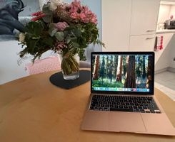 Apple MacBook Air Retina 13“ A2179 - Gold