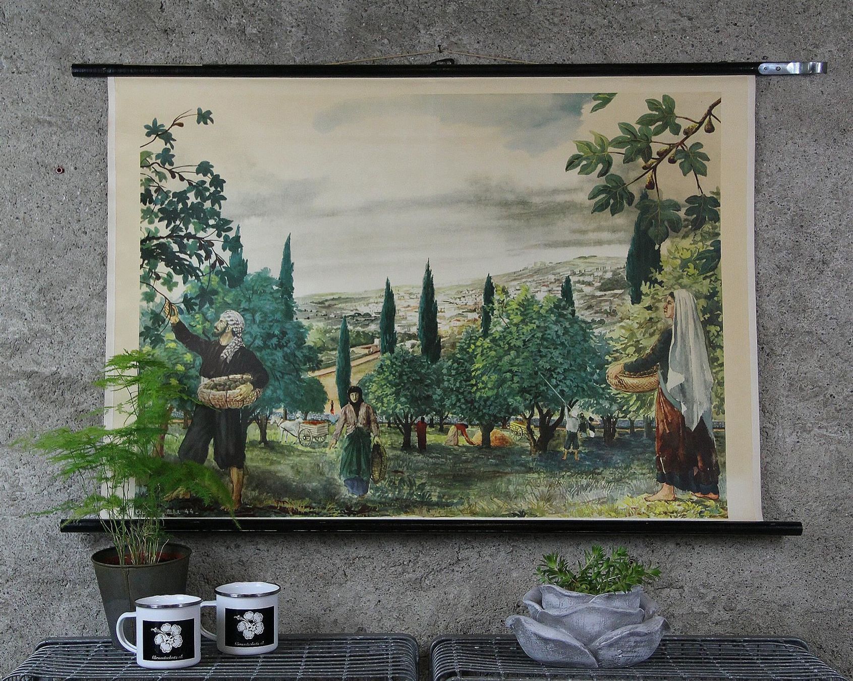 Posters & Illustrations: Schulwandbild "Feigenernte, Feigen" – D'occasion à Birrwil par brandschatz_birrwil 1