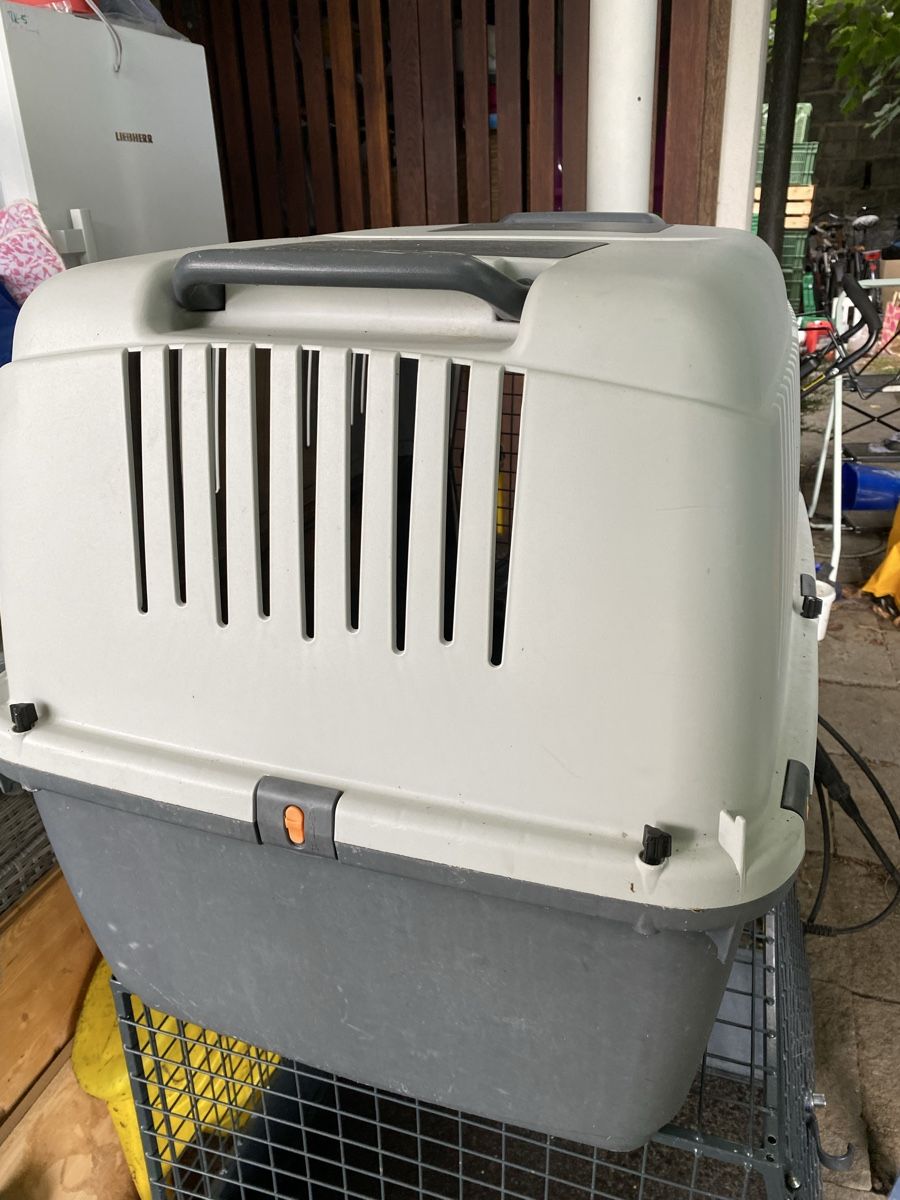 Gabbie, trasporto & Sicurezza: Hundebox Transportbox grau Grösse L  – Usato da Merligen venduto da shalimar64 2