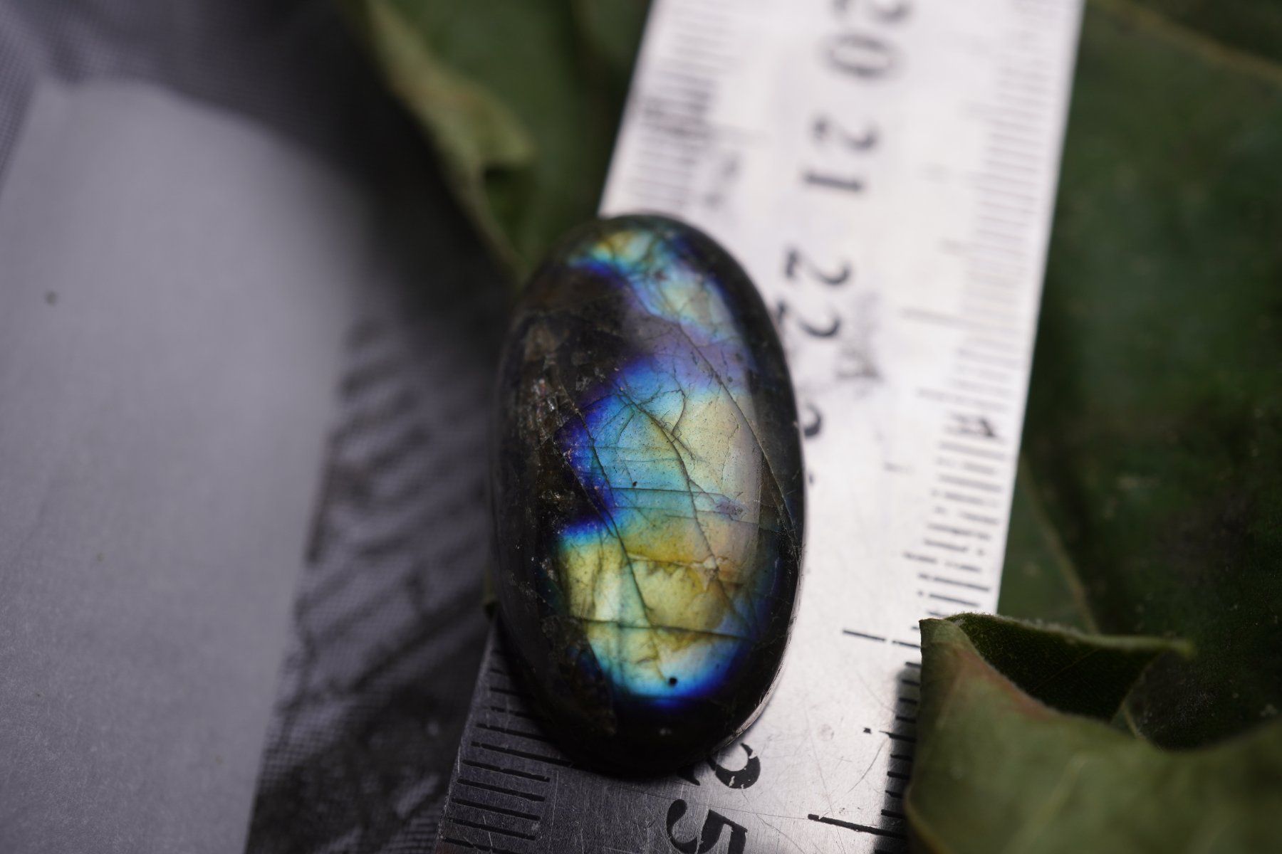 Minerali & Pietre curative: Labradorit Cabochon 38ct  ab 1.- – Nuovo e nell'imballaggio originale da Eschenbach SG venduto da topstone 5