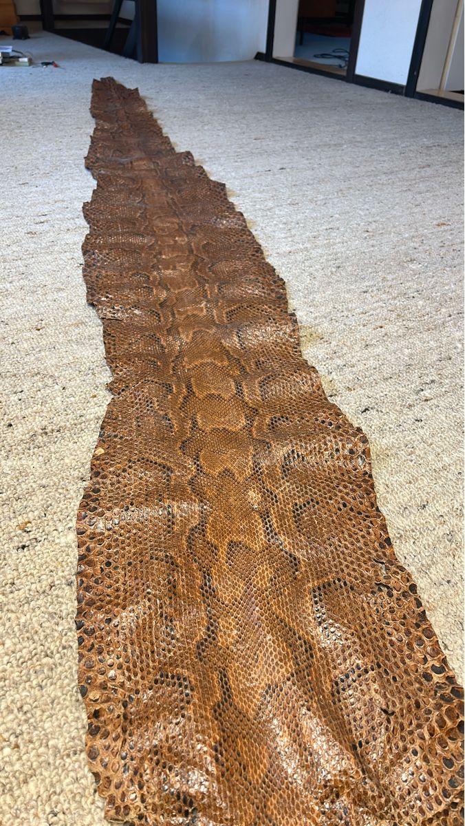 Tutte le decorazioni: Exotische Python Haut, Natur Braun, Unikat, 3 Meter 75cm – Usato da Hinwil venduto da Sizu0