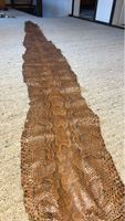 Exotische Python Haut, Natur Braun, Unikat, 3 Meter 75cm