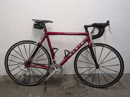 Klassiker im Top-Zustand: Klein Q-Pro Carbon Team