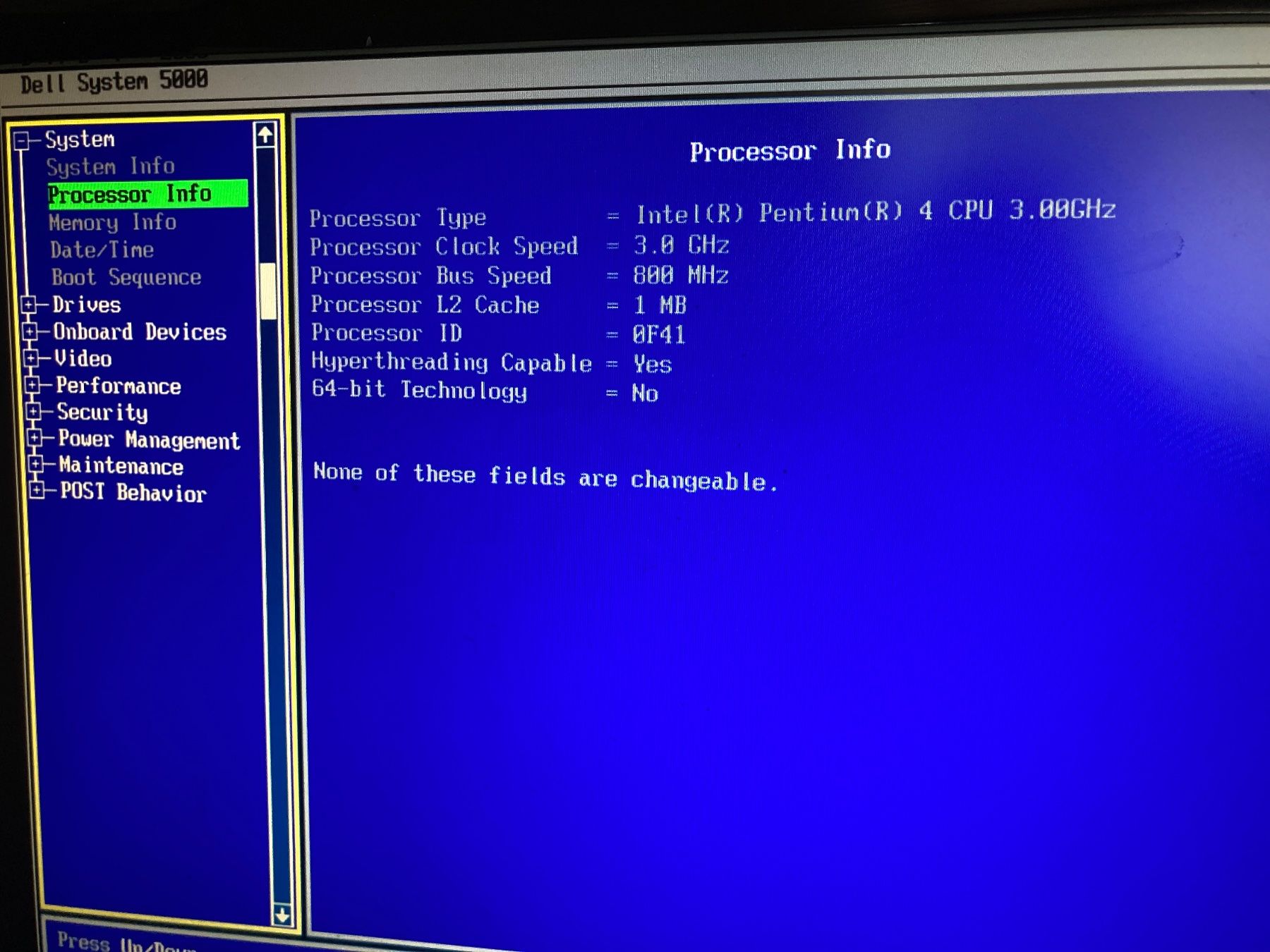 Dell PC: DELL Dimension 5000 | Windows XP | 160GB | 4GB – Usato da Wichtrach venduto da Queensparkunite 5