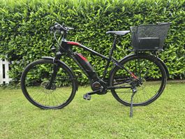 Wheeler E-Bike 25 km/h