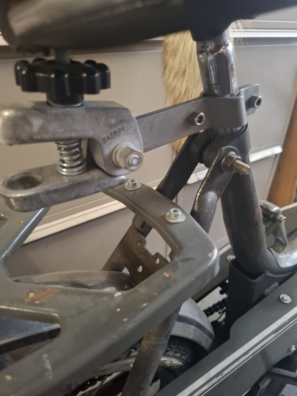 Sachs Mofas: Sachs Alpa Moor 503 HG – Gebraucht aus Grabs von San_777v 4