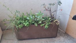 Blumenkasten braun inkl. Bepflanzung