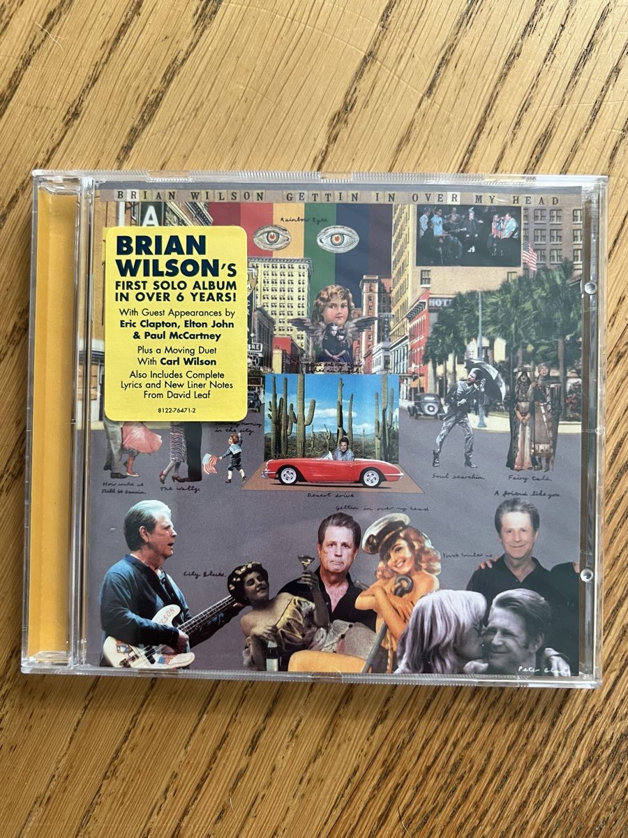 CD: Brian Wilson: Gettin In Over My Head CD (2004) – Usato da Hünenberg venduto da Paddels