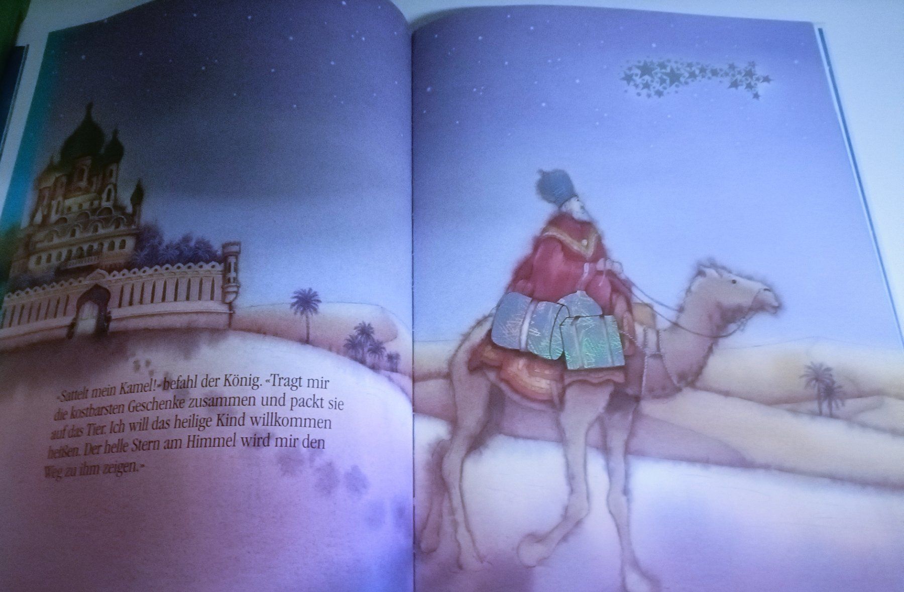 Libri: Der Weihnachtsstern  - Marcus Pfister – Nuovo (secondo la descrizione) da Köniz venduto da Hit24 2