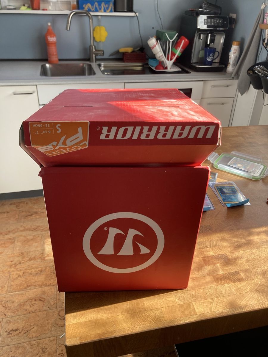 Caschi: Eishockeyhelm Warrior – Nuovo (secondo la descrizione) da Illnau venduto da Spinnenbob 3