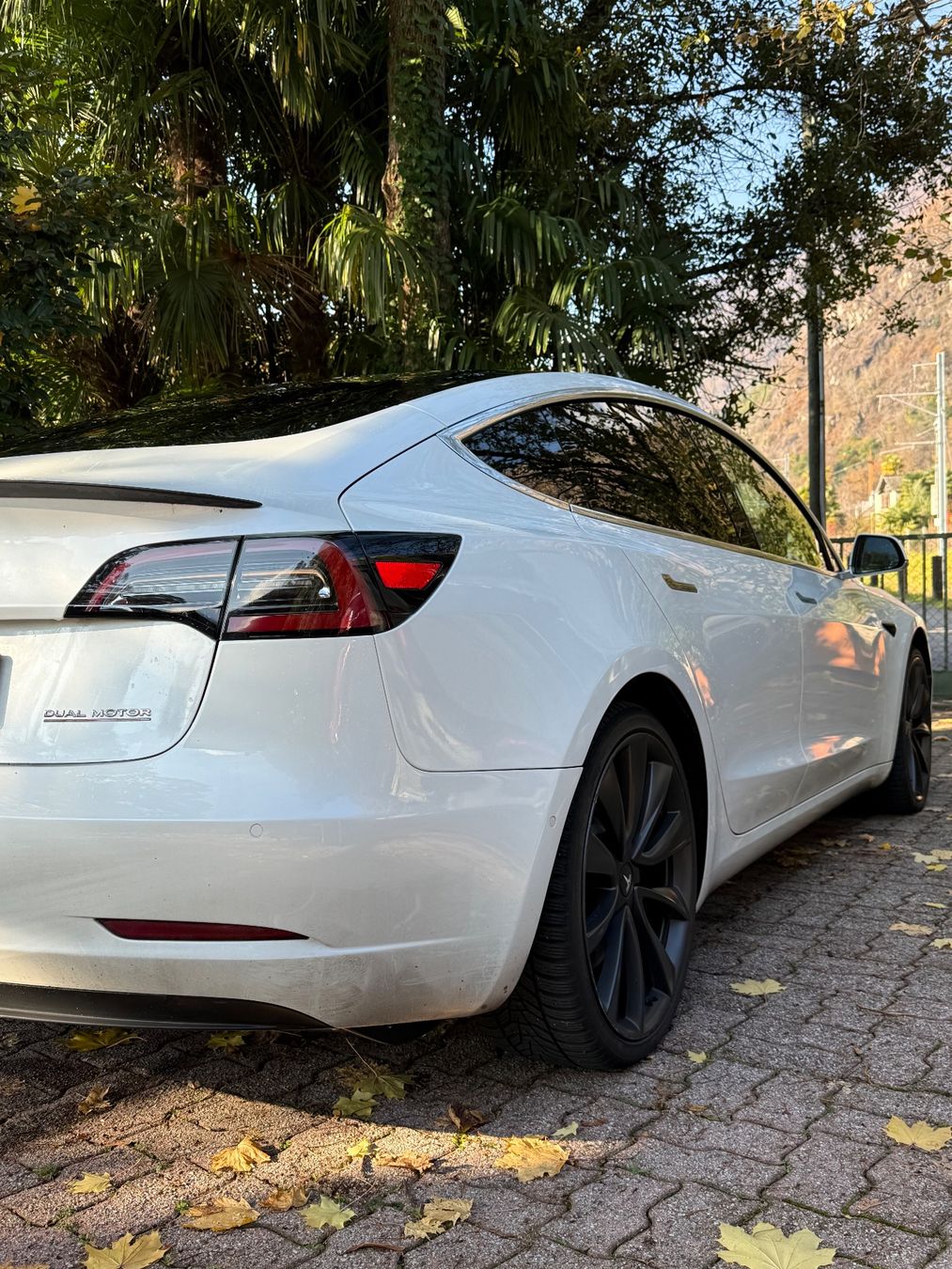 Tesla Automobili: Tesla Model 3 Perfomance & Full Self Driving – Usato da Tegna venduto da gae_657d 1