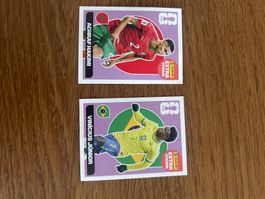 2 Panini Extra Sticker