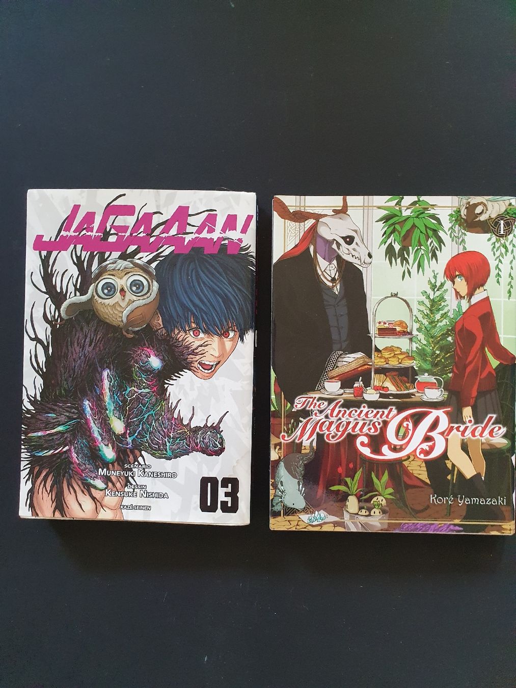 Fumetti: 2 livres Manga – Usato da Les Brenets venduto da SBO56