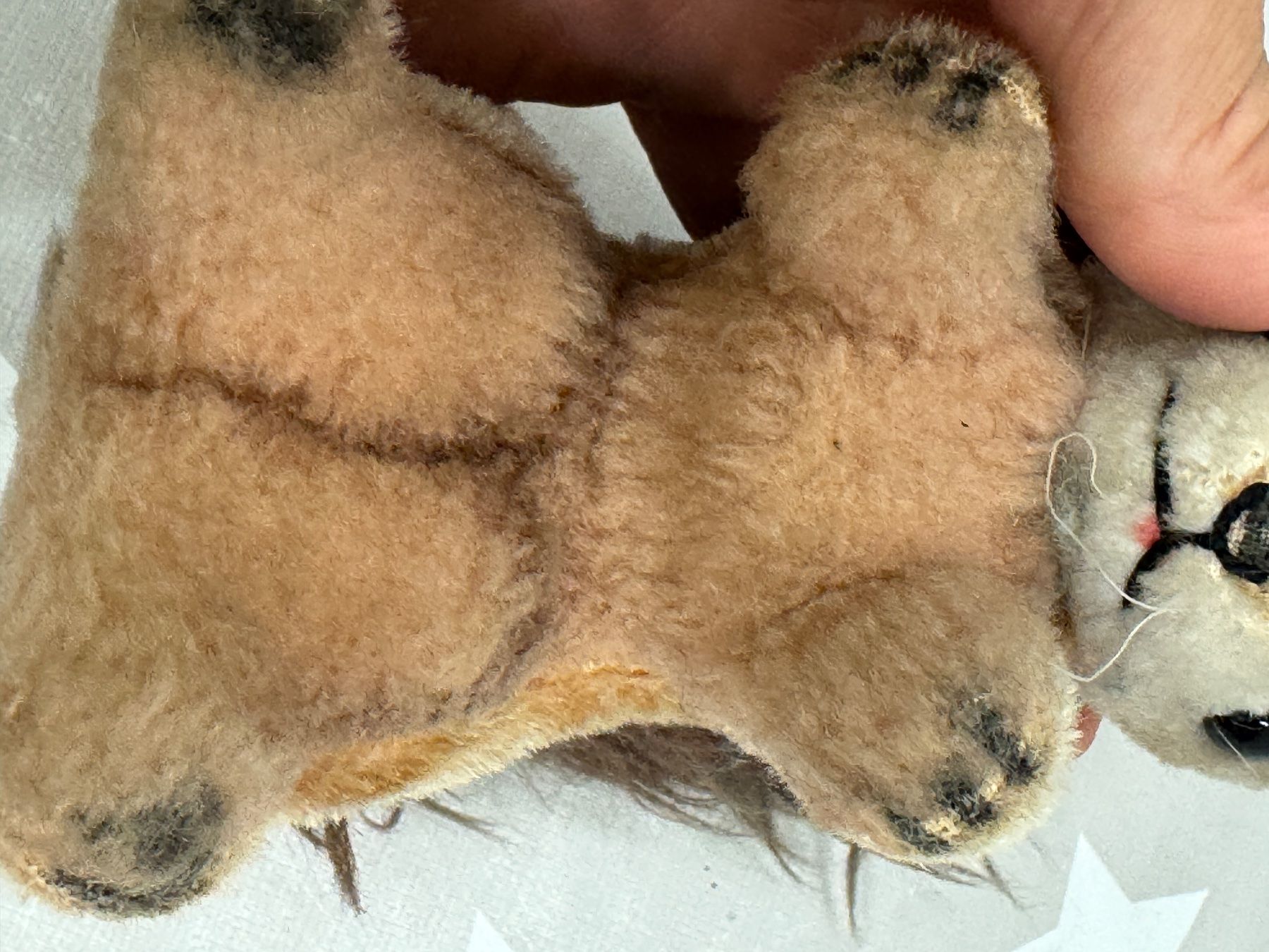 Spielzeuge: Steiff ? Eichhörnchen – Gebraucht aus Rafz von Powacaddy 4