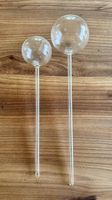 2x Pflanzenkugel ACQUA - Glasi Hergiswil