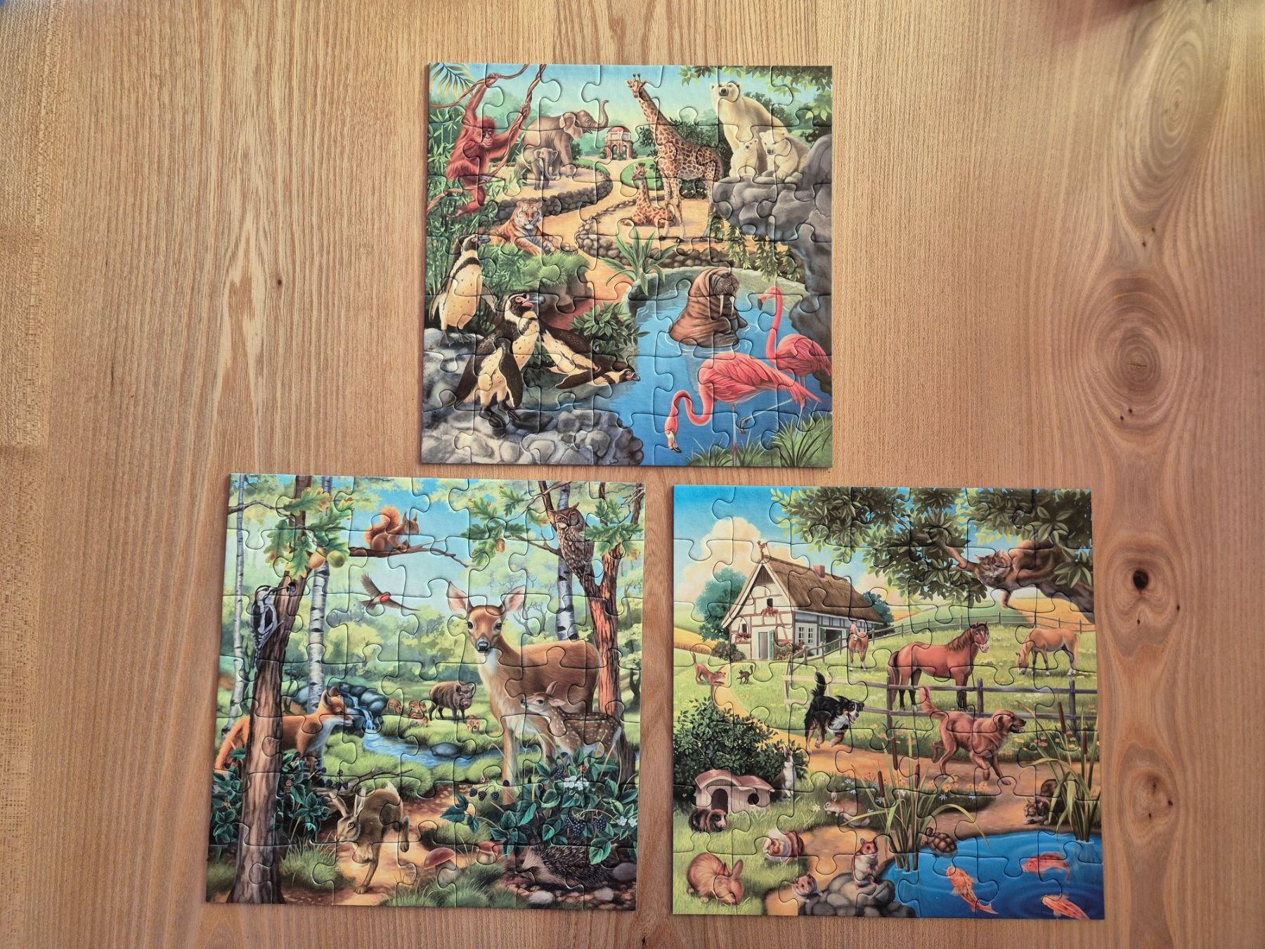 Ravensburger Puzzle: Ravensburger Puzzle 3x49 5+ - Tiere – Usato da Giswil venduto da 0G6 1