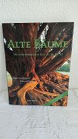 Alte Bäume - Naturdenkmäler aus aller Welt Baum