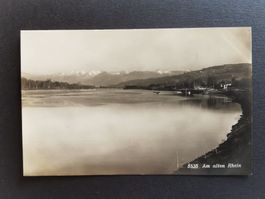 Bodensee   Alter  Rhein   Ansichtskarte
