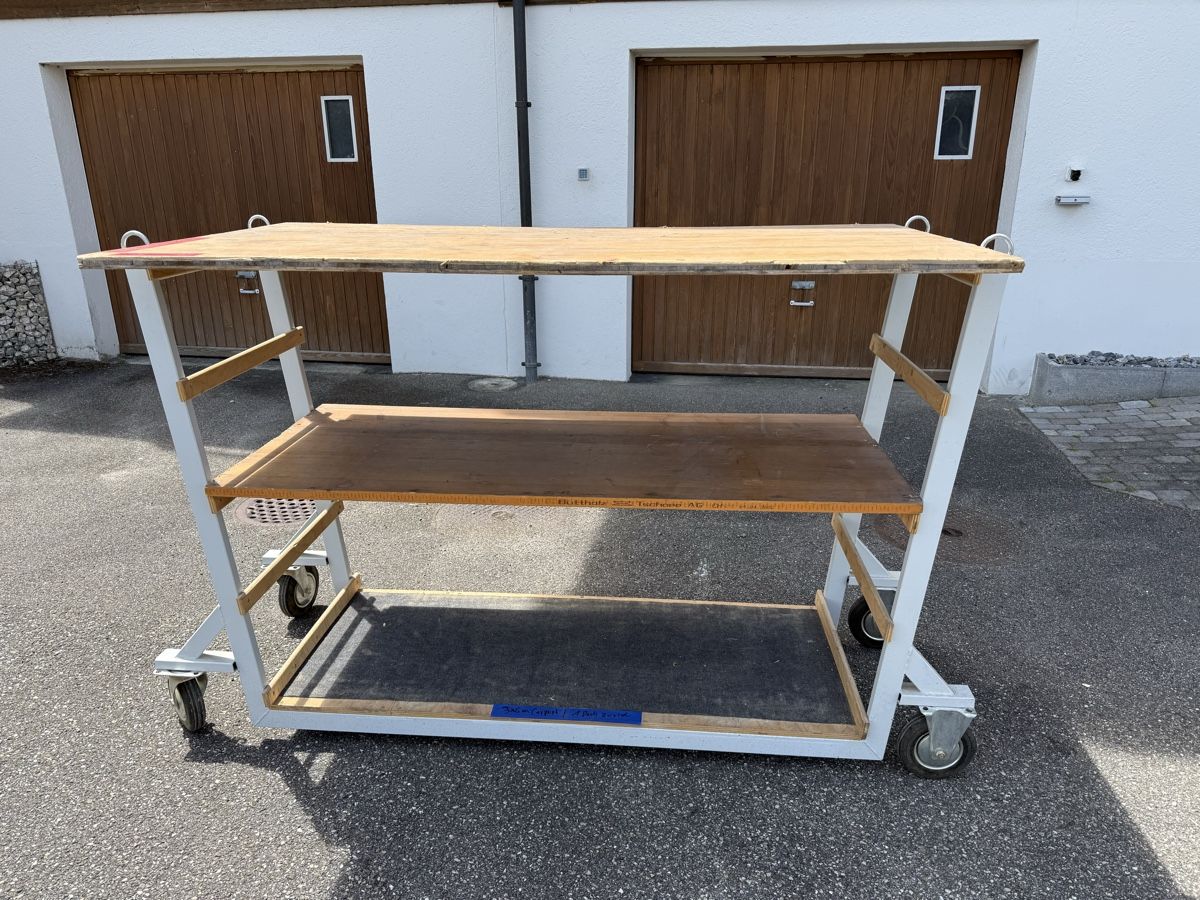Altro per stoccaggio & trasporto: Werkstattwagen massiv – Usato da grosswangen venduto da Poliniman0