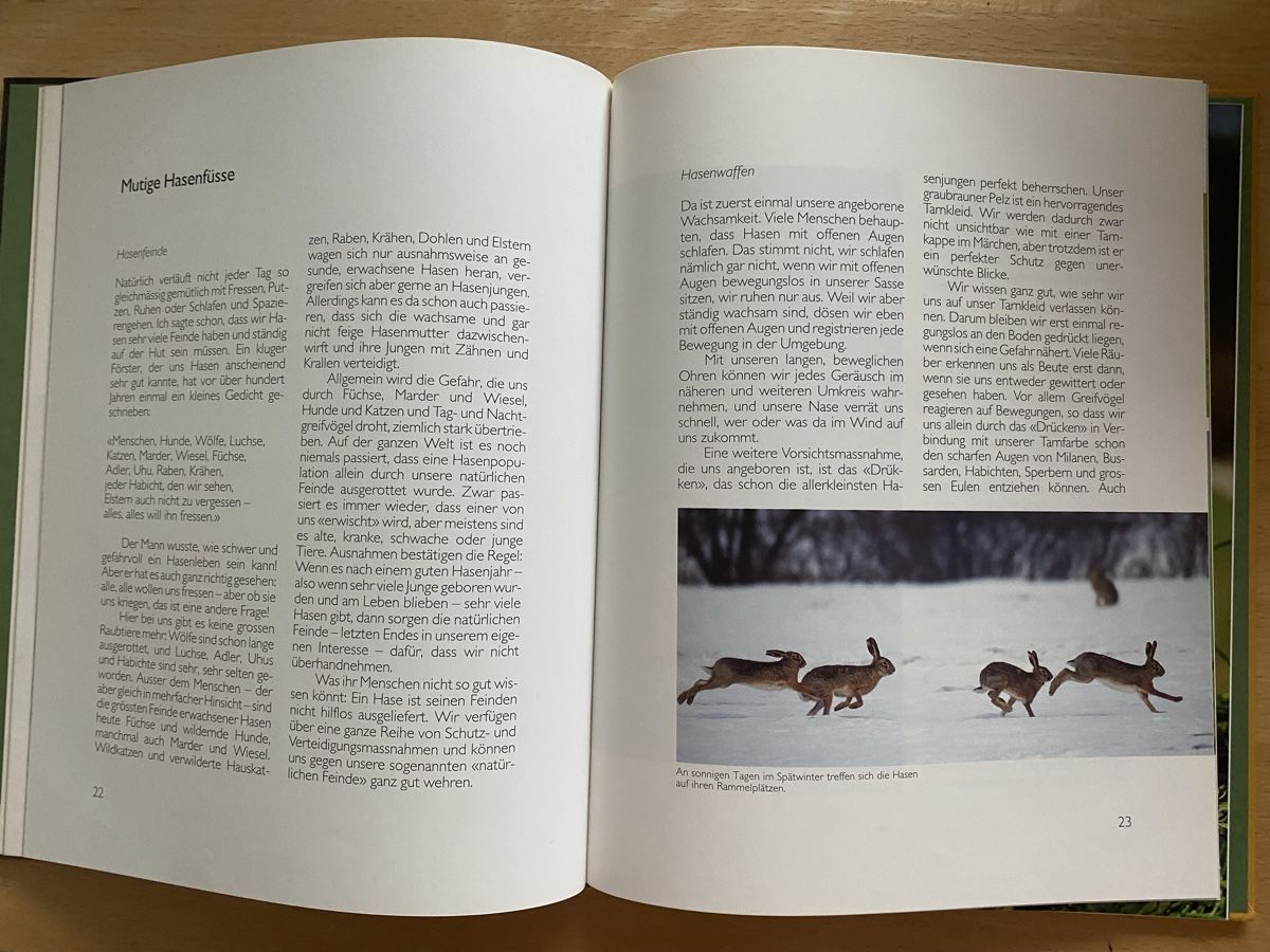 Libri: Ich bin ein Hase - Ursula Dolder – Usato da Schwarzenburg venduto da Michellu 6