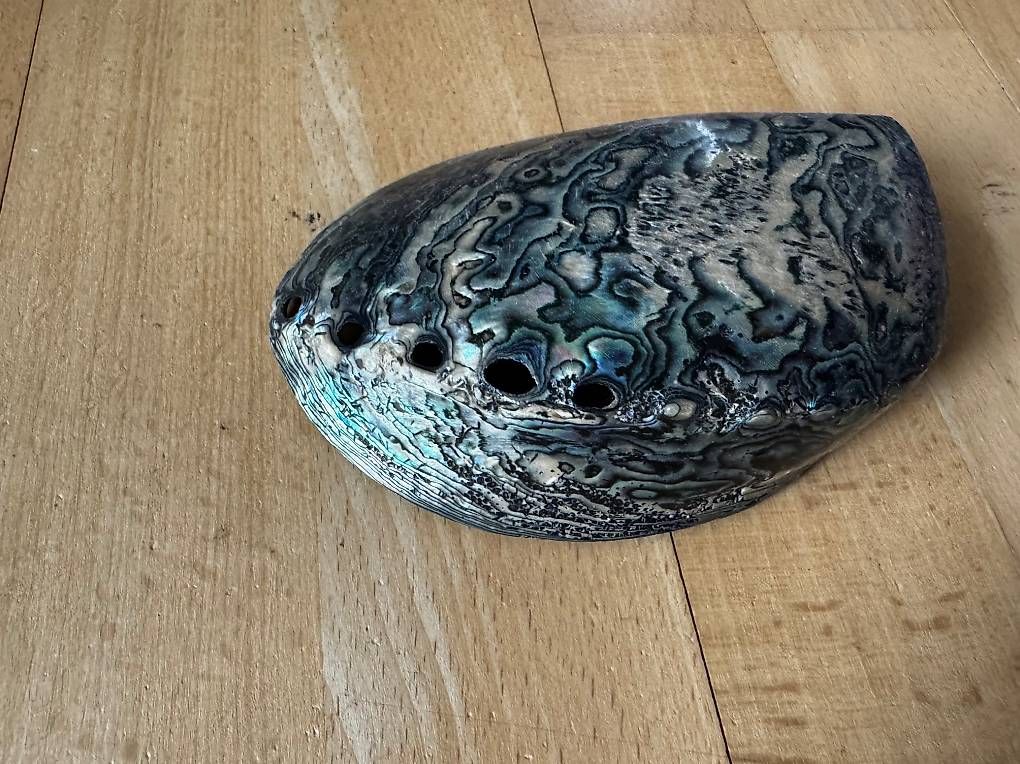 Lampen: Paua Shell aus Neuseeland – Gebraucht aus Baar von Excalibur640 1
