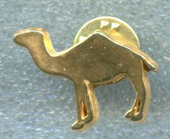 CAMEL  