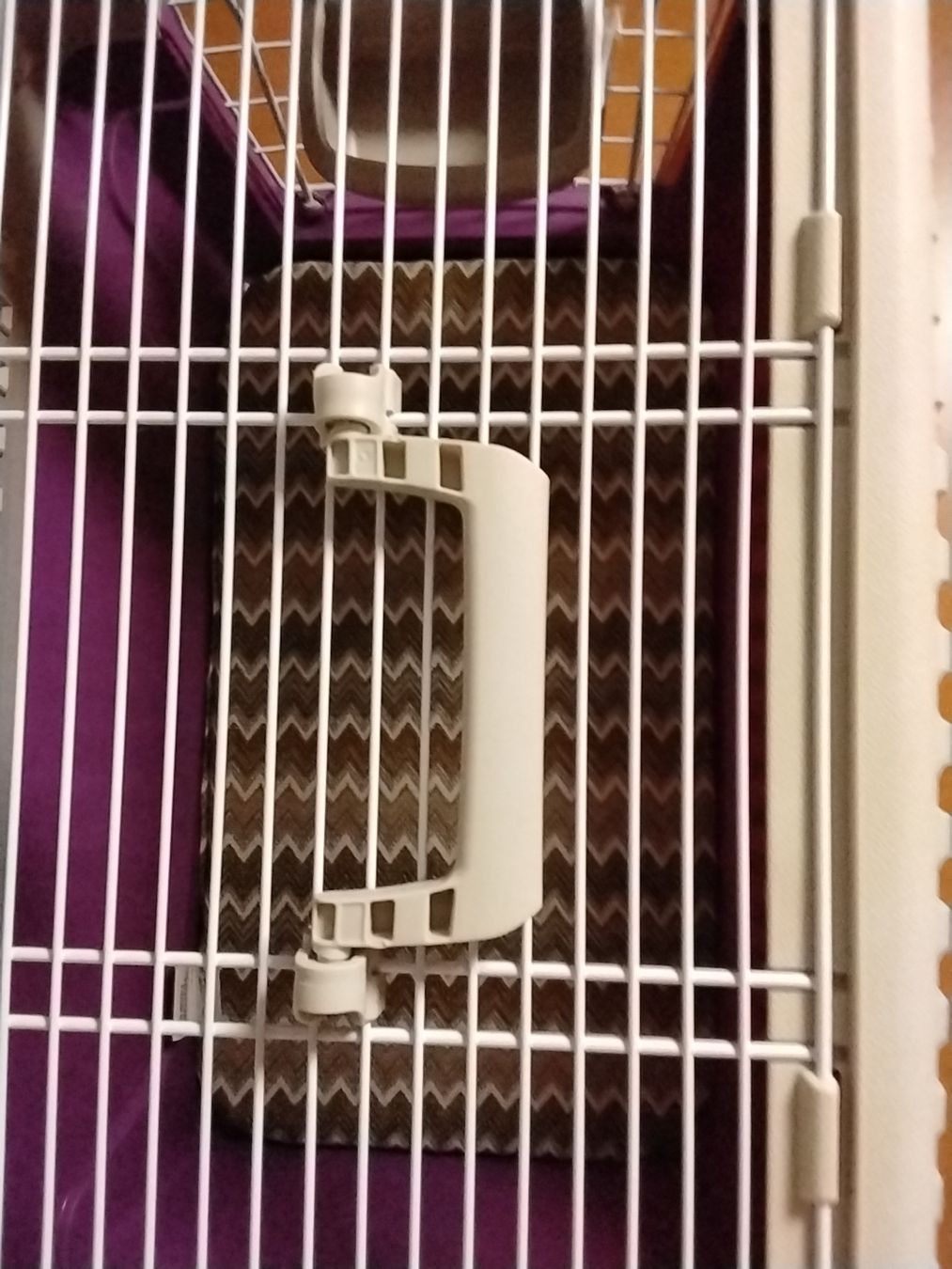 Gabbie, trasporto & Sicurezza: Katzentransportbox – Nuovo (secondo la descrizione) da Sonceboz-Sombeval venduto da Achilles8 3