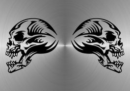 Fun Aufkleber Tuning Sticker Decal 462