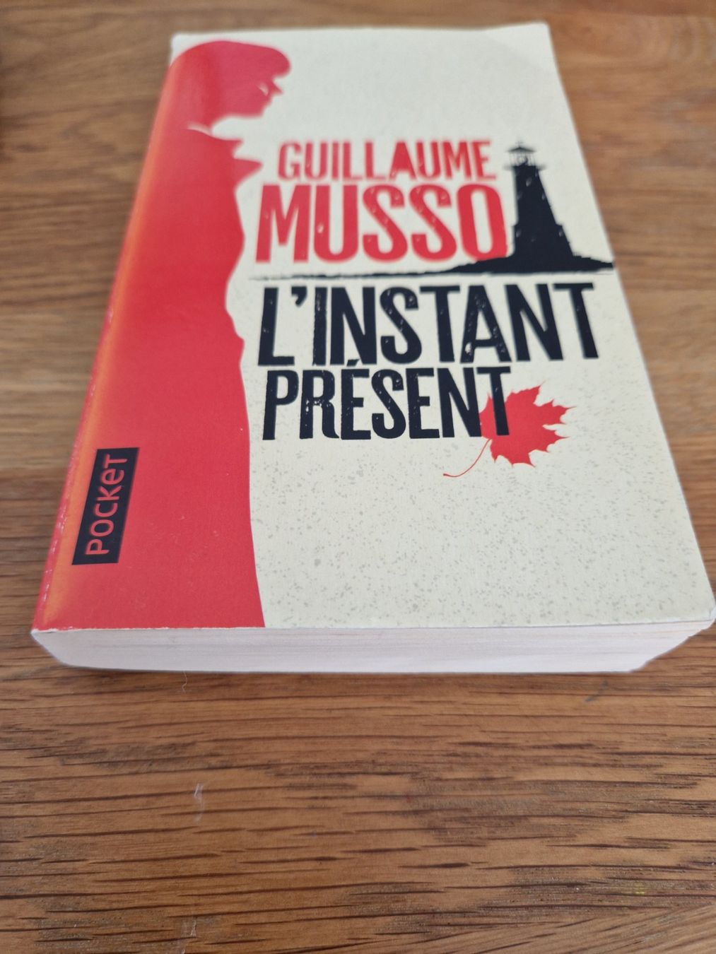Libri: Musso - l'instant présent.   (D1) – Usato da Villars-sur-Glâne venduto da Agnie80 2