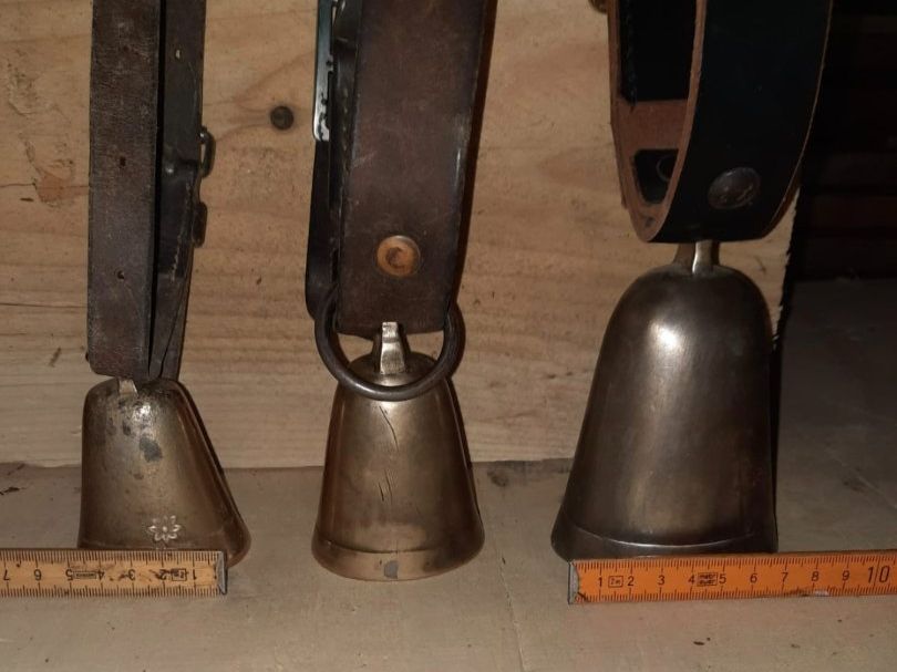 Campanacci mucche: Ziegen/Eseltreicheln – Usato da Charmey (Gruyère) venduto da Balinea