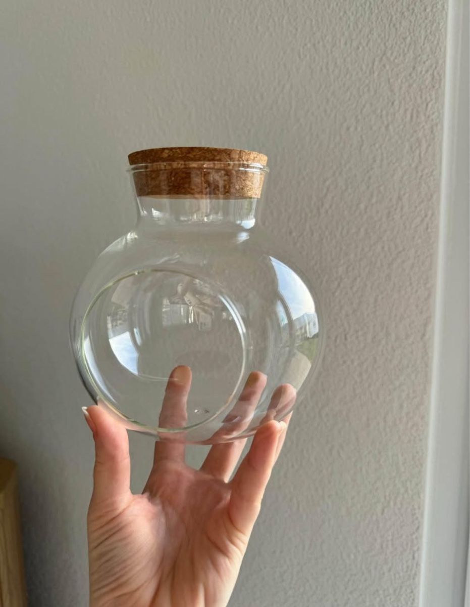 Tutte le decorazioni: 🔮 Glaskugel-Terrarium – Usato da Niederbuchsiten venduto da GreenGems 2
