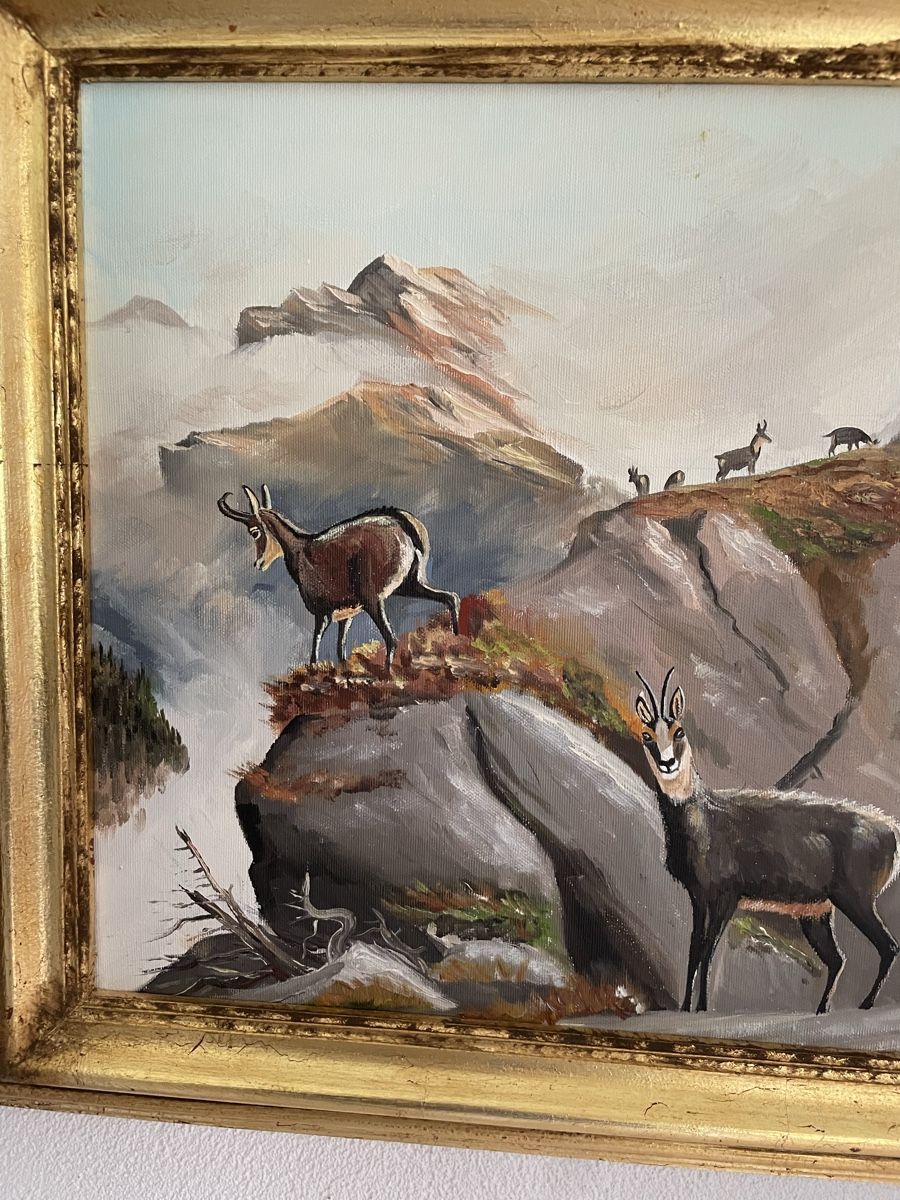 Dipinti: Gamsbild von H. Guler – Usato da Schmitten (Albula) venduto da an.am 1
